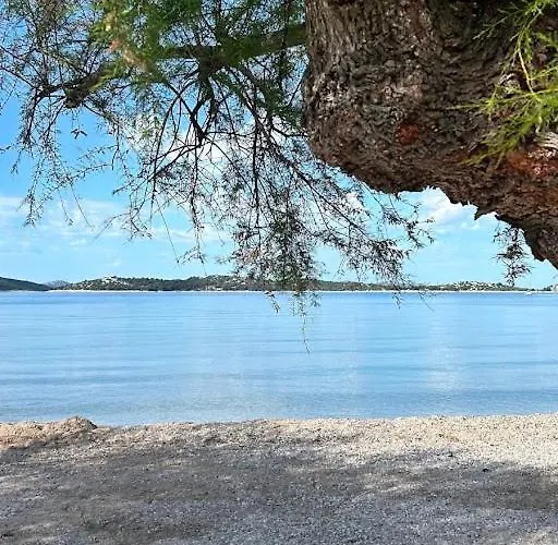 Montini * ヴォディツェ